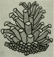 An illustration from Studio international (1893)
