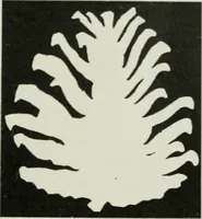 An illustration from Studio international (1893)