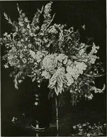 An illustration from Studio international (1893)