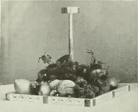An illustration from Studio international (1893)