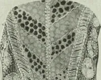 An illustration from Studio international (1893)