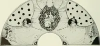 An illustration from Studio international (1893)