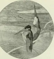 An illustration from Studio international (1893)