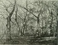 An illustration from Studio international (1893)