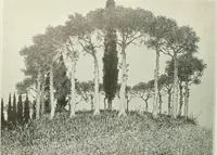 An illustration from Studio international (1893)