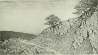 An illustration from Studio international (1893)