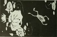 An illustration from Studio international (1893)