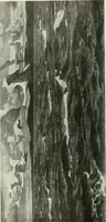 An illustration from Studio international (1893)