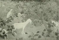 An illustration from Studio international (1893)