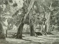 An illustration from Studio international (1893)