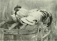 An illustration from Studio international (1893)