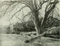 An illustration from Studio international (1893)