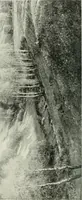 Picture 107 of 356 from Studio international (1893), leaf 113