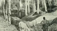 Picture 163 of 356 from Studio international (1893), leaf 163