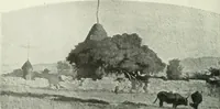 Picture 165 of 356 from Studio international (1893), leaf 165