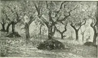 Picture 168 of 356 from Studio international (1893), leaf 166