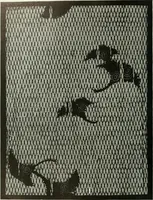 Picture 201 of 356 from Studio international (1893), leaf 201