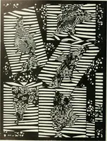 An illustration from Studio international (1893)