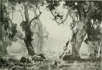 An illustration from Studio international (1893)
