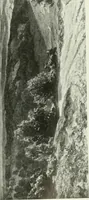 An illustration from Studio international (1893)