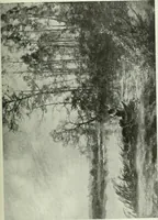 An illustration from Studio international (1893)