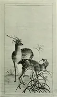 An illustration from Studio international (1893)