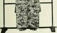 Picture 86 of 356 from Studio international (1893), leaf 88