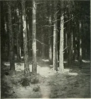 An illustration from Studio international (1893)