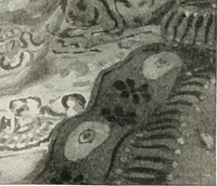 An illustration from Studio international (1893)