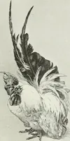 An illustration from Studio international (1893)