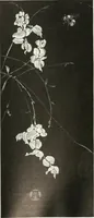 An illustration from Studio international (1893)