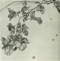 An illustration from Studio international (1893)