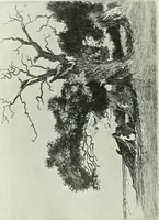 An illustration from Studio international (1893)