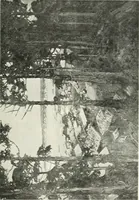 An illustration from Studio international (1893)
