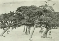 An illustration from Studio international (1893)