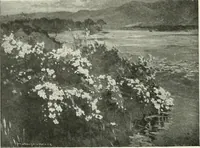An illustration from Studio international (1893)