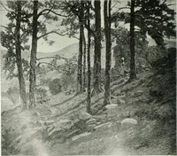 An illustration from Studio international (1893)