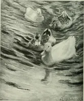 An illustration from Studio international (1893)