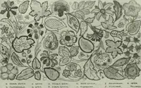 An illustration from Studio international (1893)