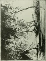 An illustration from Studio international (1893)
