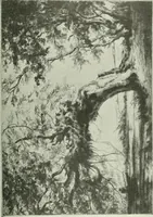 An illustration from Studio international (1893)