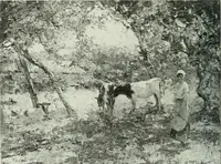 An illustration from Studio international (1893)