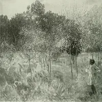 An illustration from Studio international (1893)