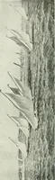 An illustration from Studio international (1893)