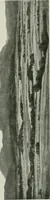 An illustration from Studio international (1893)