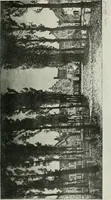 An illustration from Studio international (1893)