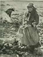 An illustration from Studio international (1893)