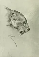 An illustration from Studio international (1893)