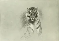 An illustration from Studio international (1893)