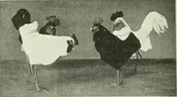 An illustration from Studio international (1893)